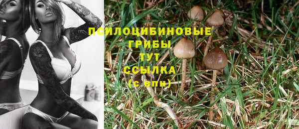 кокаин перу Красноперекопск