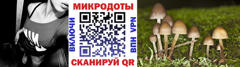 omg ссылки  наркошоп  Горнозаводск  Галлюциногенные грибы мицелий 